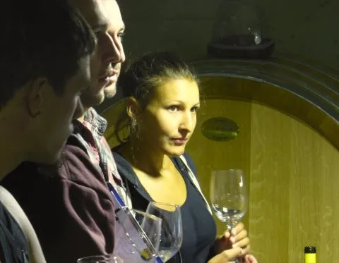 Weinbautechnik