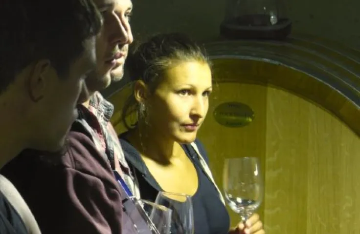 Weinbautechnik